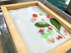 写真：分科会の様子・3
