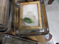 写真：絞り工程の様子