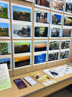 写真:展示されている写真(2)