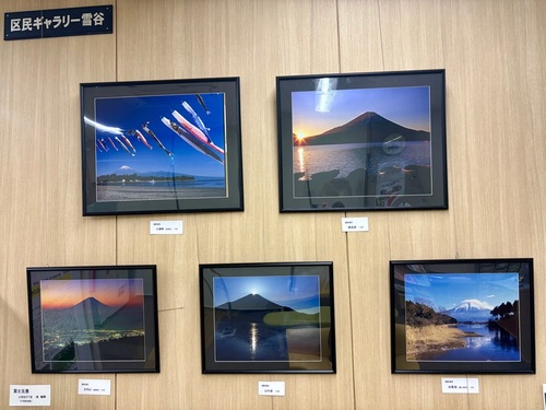 展示の様子