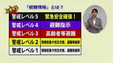 画像リンク：動画約5分　シティーニュースおおた（令和3年6月後半号）