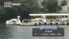 画像リンク：ユニークおおた（令和4年8月号・公園特集）動画　3分程度　YouTubeへリンクします