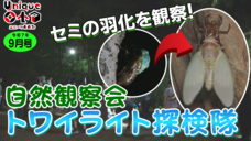 画像リンク：ユニークおおた（令和7年9月号）動画　3分程度　YouTubeへリンクします