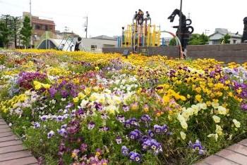 令和7年5月号　春の公園わくわく散歩！