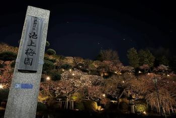 画像リンク：令和7年2月号 池上梅園期間限定ライトアップ