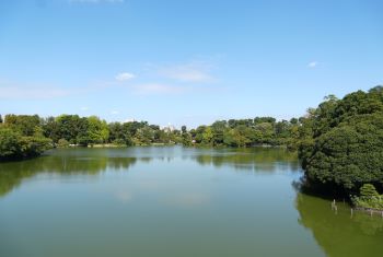 令和7年10月号 大田が全国に誇る景勝地！洗足池公園