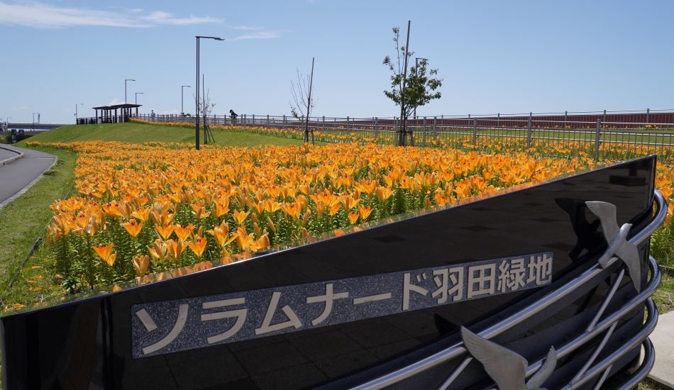 画像リンク：ソラムナード羽田緑地について