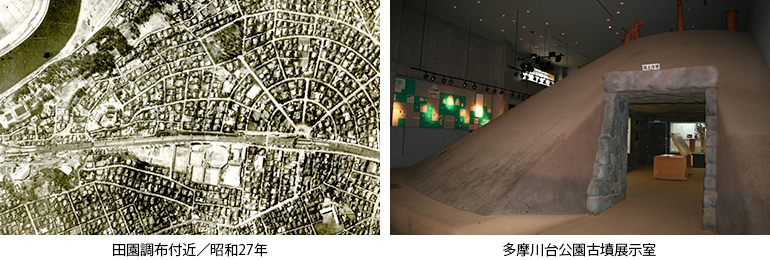 （左）田園調布付近／昭和27年（右）多摩川台公園古墳展示室