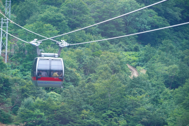 谷川岳（たにがわだけ）ロープウェイと白駒池（しらこまいけ）ツアーについての画像