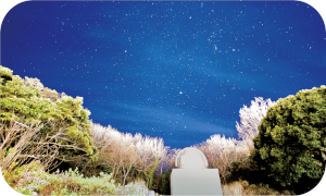 天体観測についての画像