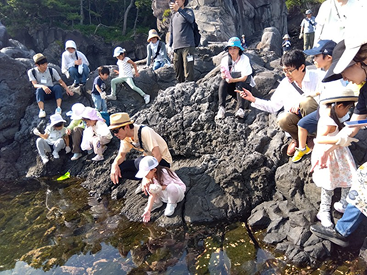 いずこうげん 森のようちえんについての画像