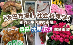 大田市場特集バナー