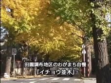 画像リンク：動画［7分39秒］　わがまち自慢『田園調布地区』