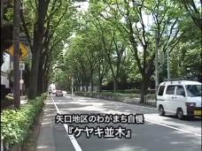 画像リンク：動画［9分44秒］　わがまち自慢『矢口地区』