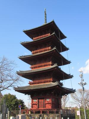 画像：重要文化財「本門寺五重塔（南面）」