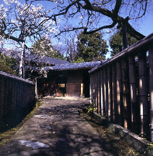 写真：龍子公園