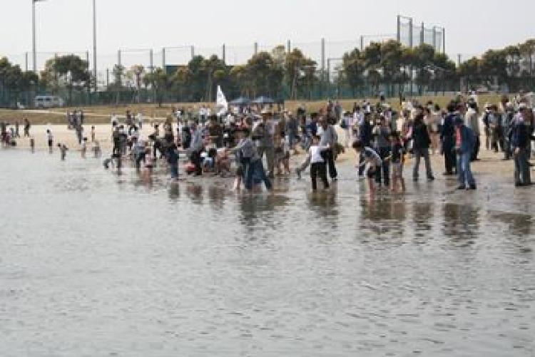 写真：大森ふるさとの浜辺オープン