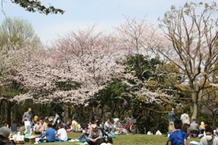 写真：平和の森公園(平成23年)