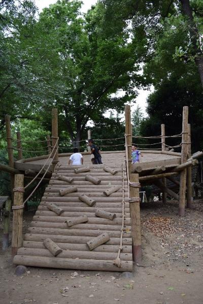 画像：平和の森公園フィールドアスレチック