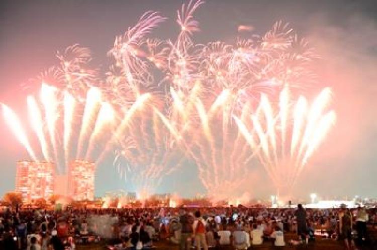 写真：花火の祭典(平成22年)