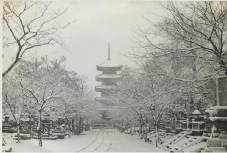 写真：池上本門寺　冬景色