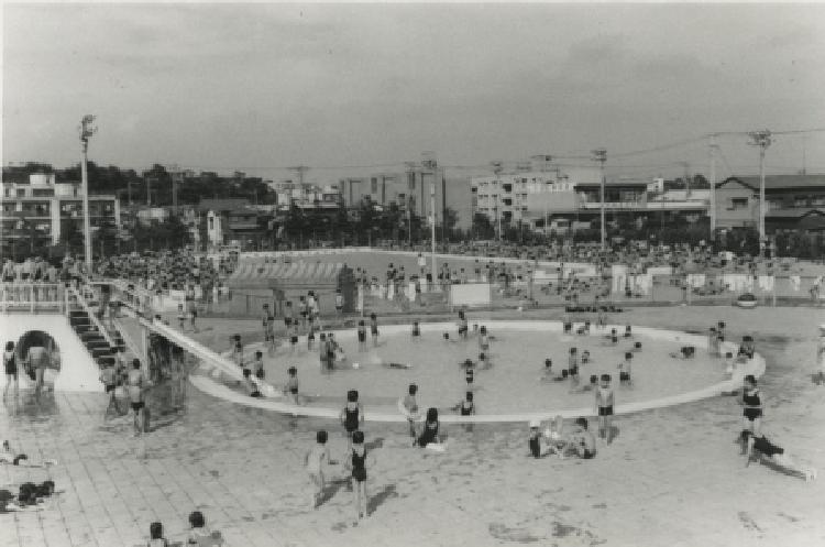 写真：東調布公園プール