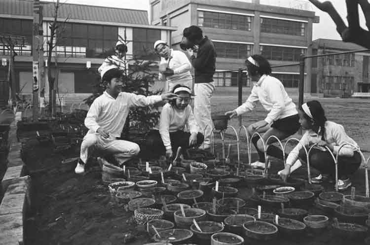 写真：矢口東小学校　一人一鉢運動