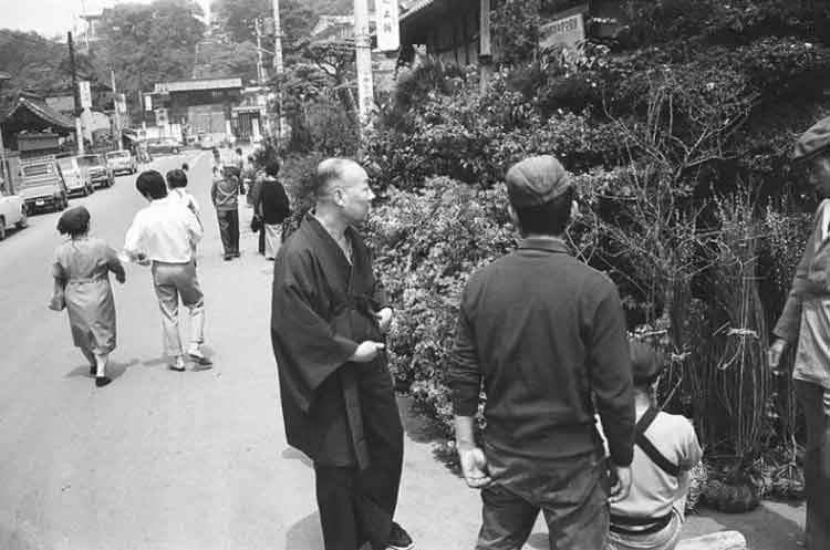 写真：植木市（本門寺）