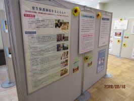 写真：保護司の活動を紹介するパネル展の様子(2)