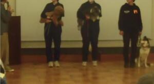 令和7年度の様子2