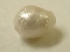 テキスト　天然真珠（径約1.5mm）