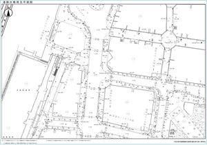道路台帳現況平面図
