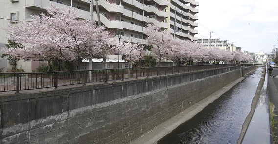 久が原5丁目北の橋付近