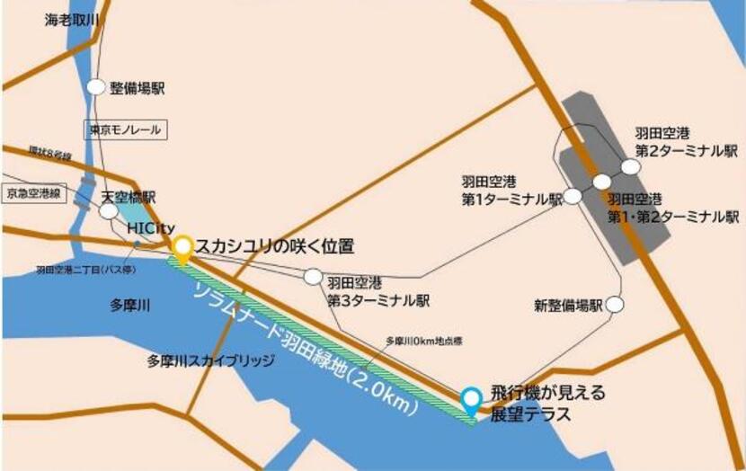 地図：緑地上流側（上図左側）が植栽地です。
