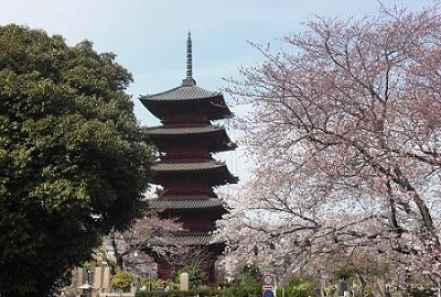 画像：池上本門寺