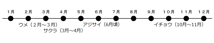 うめが2がつから3がつ、さくらが3がつから4がつ、あじさいが6がつごろにさきます。いちょうが10がつから11がつにこうようします。