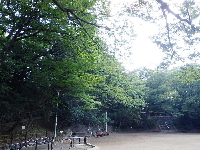 写真：公園の様子・その1