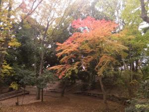 写真：公園の様子・その4