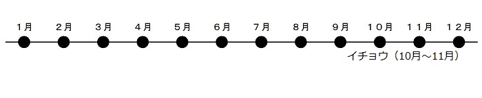 10がつから11がつにいちょうがこうようします。