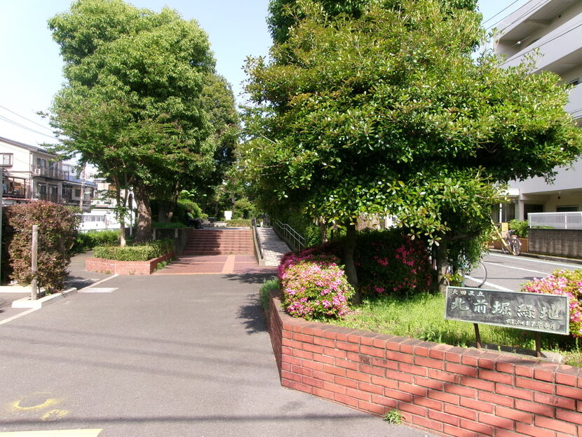写真：公園の様子・その1