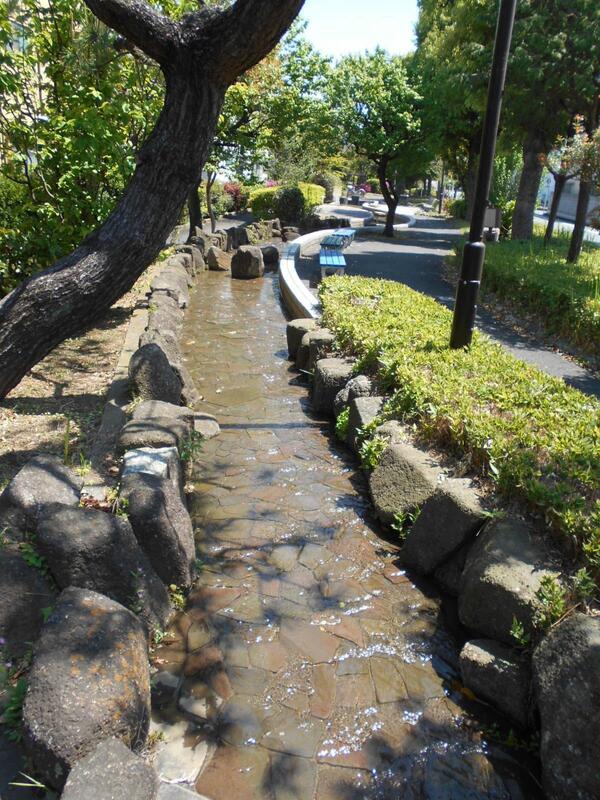 写真：公園の様子・その2