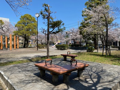 sakura2