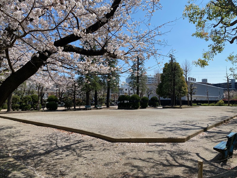 公園の様子・その2