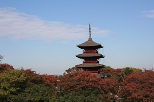 写真：池上本門寺・五重塔の様子