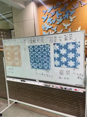 画像：イラスト（小池公園分科会　夏の観察会　親子で草木染を実施しました『27名のお子様にご参加いただきました！』）