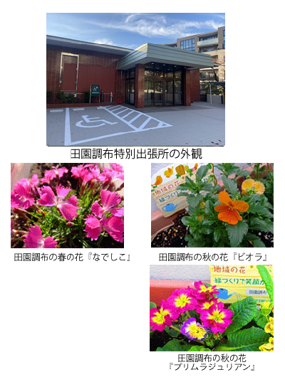 写真上：田園調布特別出張所の外観、写真中左：田園調布の春の花「なでしこ」　写真中右：田園調布の秋の花「ビオラ」、写真下右：田園調布の秋の花「プリムラジュリアン」