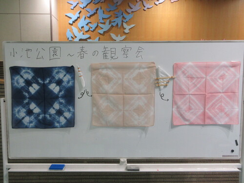画像：イラスト（小池公園分科会　夏の観察会　親子で草木染を実施しました『27名のお子様にご参加いただきました！』）