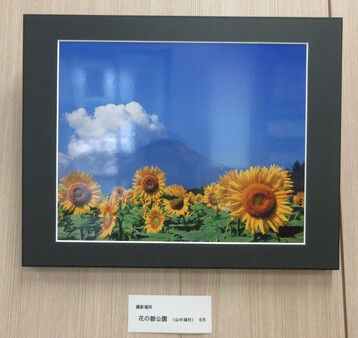 展示の様子4