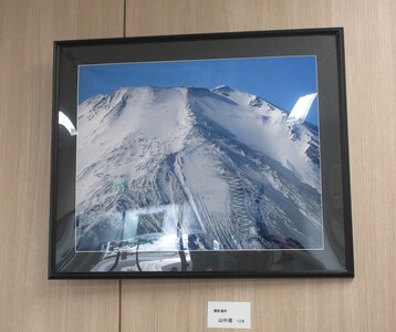 展示の様子1