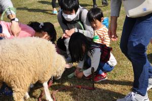 写真2：ミニ動物園
